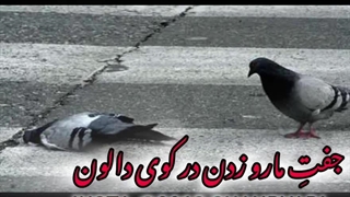 آهنگ غمگین دو کفتر بودیم