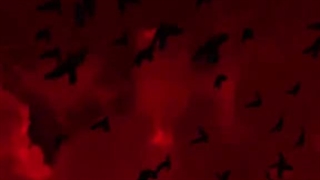 Welcome to my dark side