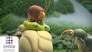 پیله شیرین - ESMA 2014