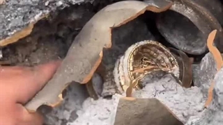 پیدا  شدن گنج ساسانی