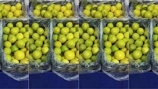 میوه فروشی امام رضا