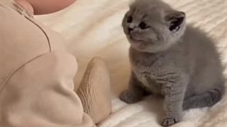 اوخودااااااااا گوگولییییی