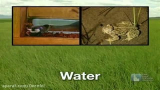 علوم تجربی چهارم دبستان | درس سیزدهم: زیستگاه | زیستگاه