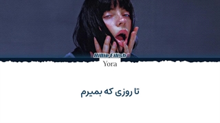 لیریک فارسی آهنگ Birds of a feather از بیلی آیلیش(BILLIE EILISH) +متن کد گزاری شده رنگی «Color Coded Lyrics»
