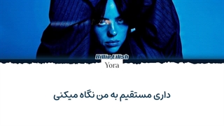 لیریک فارسی آهنگ The Dinner از بیلی آیلیش (BILLIE EILISH) +متن کد گزاری شده رنگی «Color Coded Lyrics»