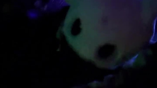 بی دندون و زنش .در هالووین