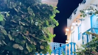 اربیان تی هاوس