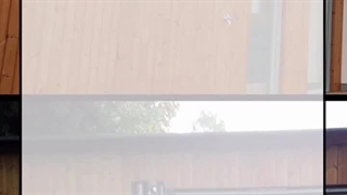 #ترموود کاج