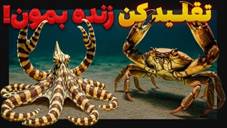 حیوانات بازیگر! چرا تقلید کردن راز بقا ست؟