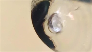 ترمیم شیشه اتومبیل غرب تهران ، 09386666514