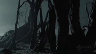 Shadows lover's of the tree