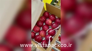 دستگاه چسب زن ویستاپک در شرکت حیات