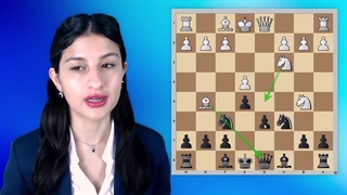 اسرار سوشنیکوف من: سیسیلی اثر یک سیسیلی