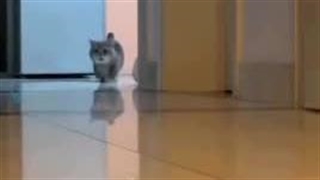 وای جر خوردمومم