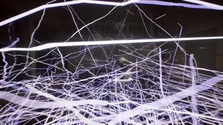 تریلر بازی Robocop Rogue City PC