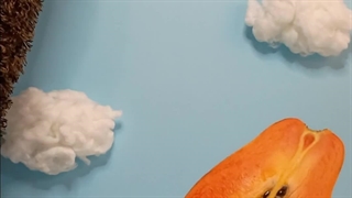 قسمت اول: پاپایا؛ میوه ممنوعه