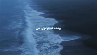 معرفی آهنگ_Fourth of July♡