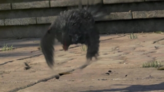 تریلر سینماتیک بازی FABLE III ایکس باکس 360