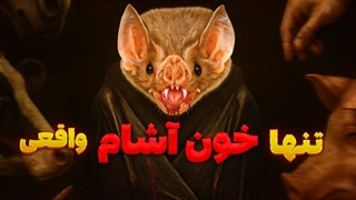 بیولوژی خفاش خون_آشام_ رازهای وحشت_آور طبیعت