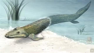 گودال ماریانا و سفری ترسناک به گود ترین نقطه زمین