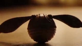 پک شیگلم هری پاتر