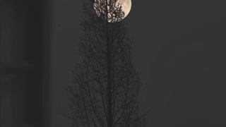 آتا سن سن منیم آرخام دایاغیم