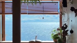 آرامش خالصه؛