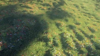 بررسی Grass Paint پلاگین Blender ساخت چمن متحرک + دانلود