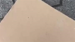 نیم‌بوت ورساچه؛ شیک، قوی، خاص 