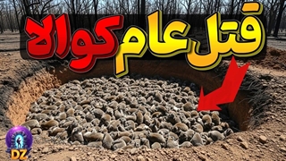 300 هزار کوآلا رو به طرز بی‌رحمانه به قتل رسوندن... وقتی مردم دلیلش رو فهمیدن شوکه شدن