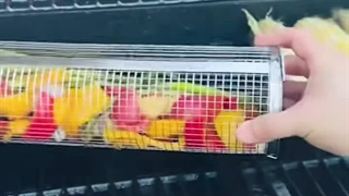 سبد گریل چرخشی استیل 30 سانتی‌متری