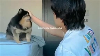 یکسال پیش ، همچین روزی یه بابایی مهربون اومد و گفت : یه کوچولویی رو از دست داده.! کپشن**