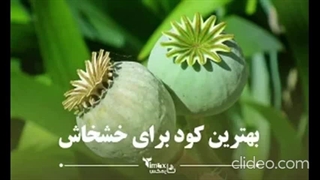 زمان مصرف کود شیمیایی سفید برای خشخاش