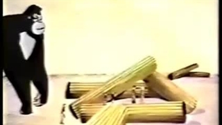 کارتون نمایش کینگ کونگ ۱۹۶۶/۱۹۶۹--قسمت پنجم