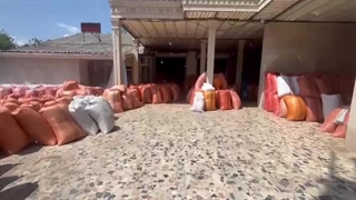 برنجکوبی رهنما