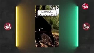 پاورقی 12 آذر 1404