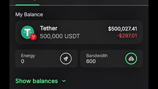 Flash USDT sender free Download