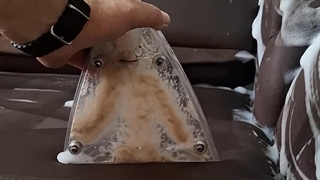 مبل شویی شهرک الاهیه