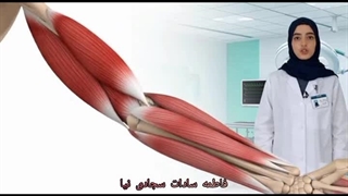 انبساط و انقباض ماهیچه