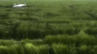 ♡☆پینترستی☆♡ (پارت 8)