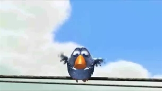 برای پرندگان