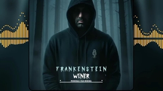 دانلود آهنگ جدید وینر به نام فرانکشتاین