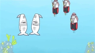 کوسه ایرانی