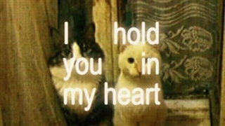 I hold you in my heart