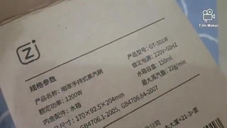 اتو بخار لباس شیائومی Lofans GT-301W Steamer Iron