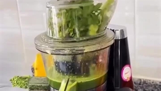 عصاره گیر مایر مدل mr-263