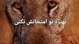 هر چیزی به جای خودش:)