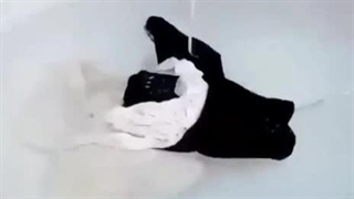 توربین واش مسافرتی قیمت : 216/000 تومان کارتن : 100 عددی