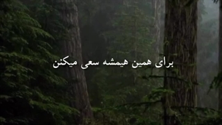 آدمای مهربون...