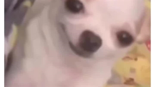 دیگه مشکل من نی بلاکت کردم